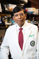phd medical research
